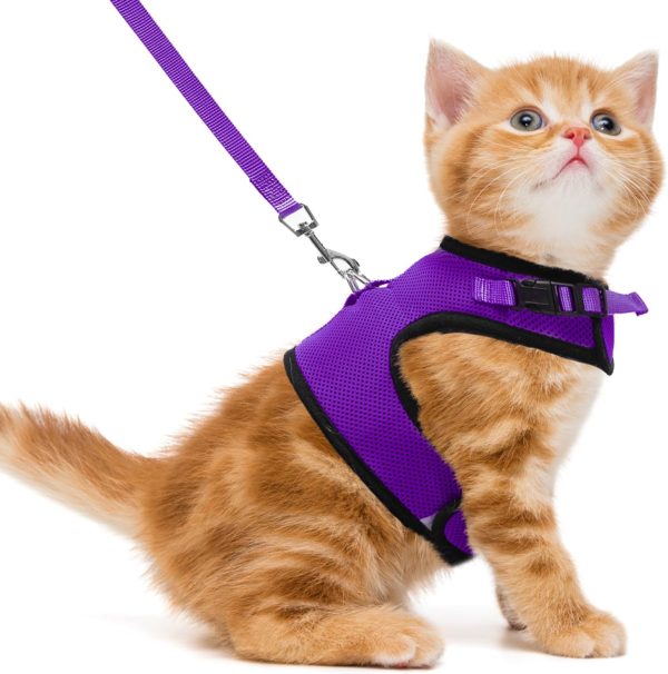 Soft Mesh Cat Vest Harness and Leash Set Puppy Padded Pet Harnesses Escape Proof for Cats Small Dogs, Purple Small